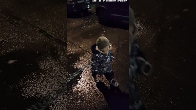 2024 10 29 ВЕЧЕРНЯЯ ПРОГУЛКА 4К.mp4