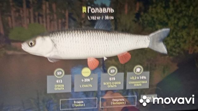 русская рыбалка 🎣🎣