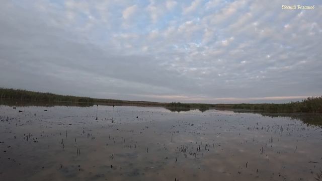 Охота на утку🦆🦆🦆 в Октябре. Краснодарский край