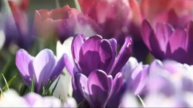 401 500 БЕСПРЕДЕЛЬНОСТЬ 2