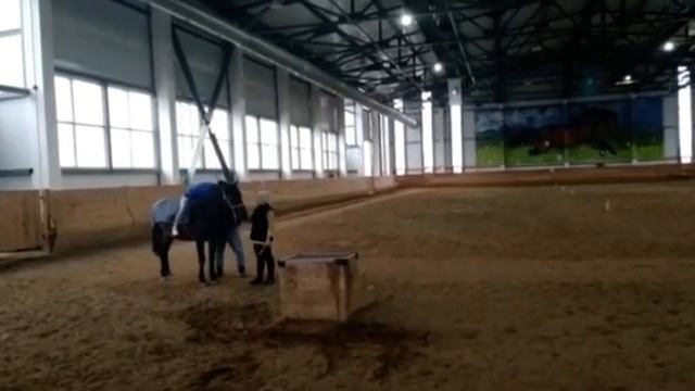 Ипподром в   Казакстан на я￼￼   Лошади 🐎      Зовут  НезнайКа