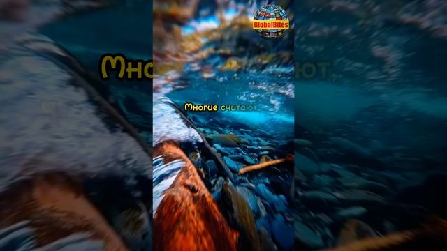 Цитата Винсент Ван Гог GlobalBites Афоризмы shorts