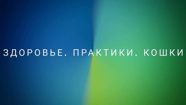 Частный просмотр. Здоровье. Практики. Кошки (28.06.2023) #ченнелинг #регрессивныйгипноз #здоровье