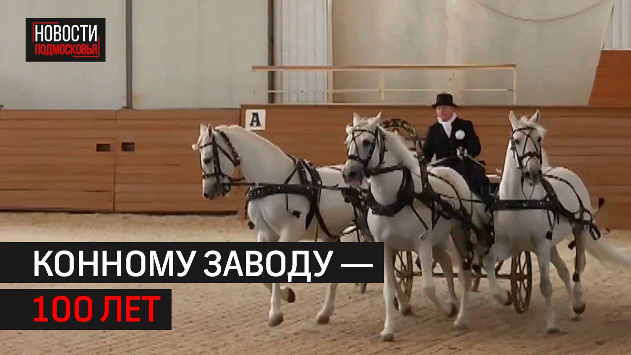 Московский конный завод № 1 в Одинцове отмечает 100 лет // 360 ОДИНЦОВО