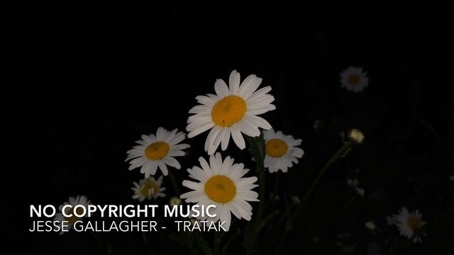 Jesse Gallagher - Tratak ( No Coptright Music)