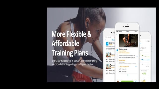 Online Fitness, Wellness and Nutrition Coach for Busy Professional