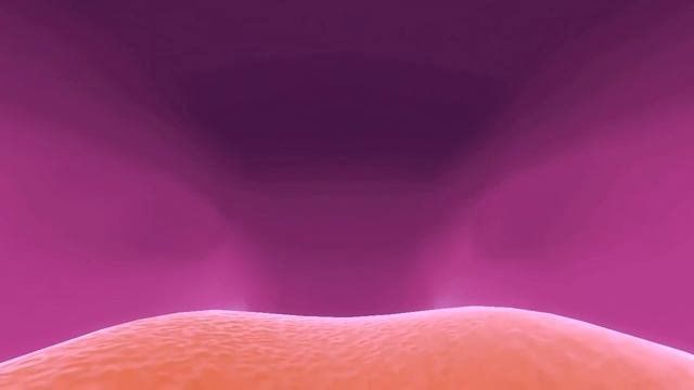 Fluttershy POV vore