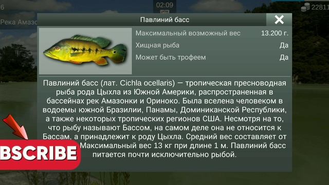 КАК поймать раптора в игре my fishing world