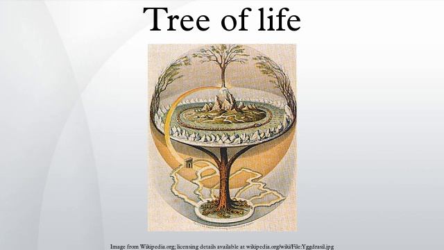 Tree of life