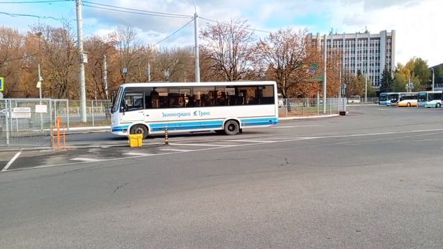 Автобус ПАЗ 3204 Вектор компании Зеленоградск-Транс маршрутом 161 Калининград-Светлое