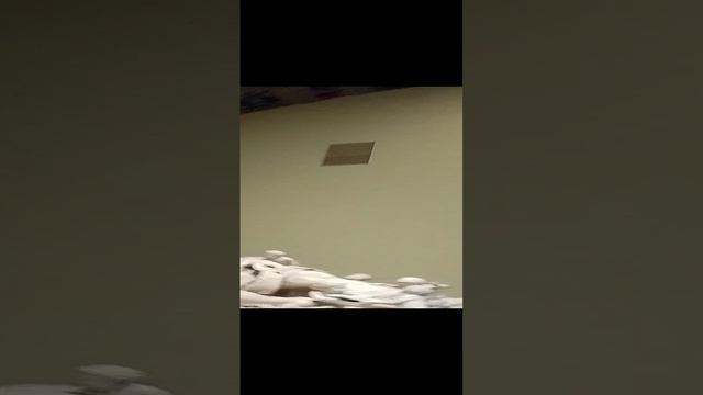 1000019567.mp4