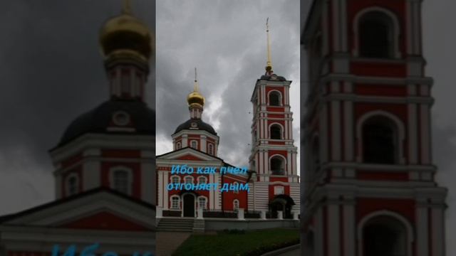 Я с вами во все дни до скончания века!