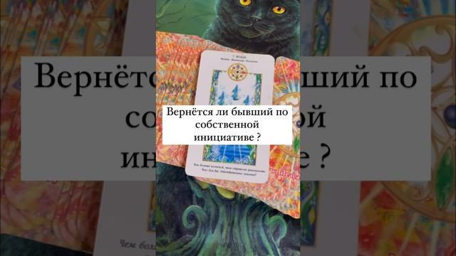 Вернется ли бывший по собственной инициативе ?