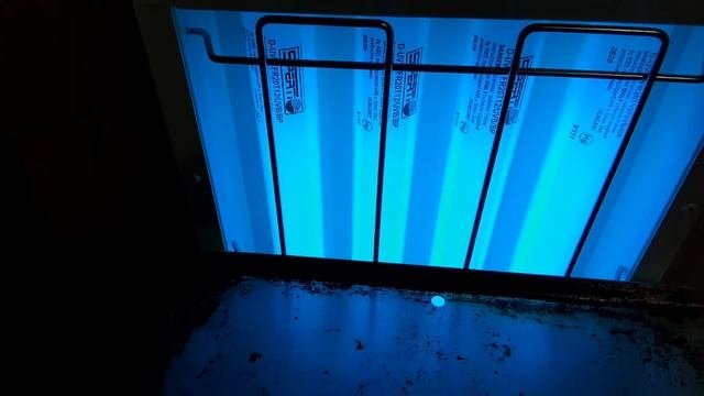 Sperti Vitamin D Sunlamp Review and Usage