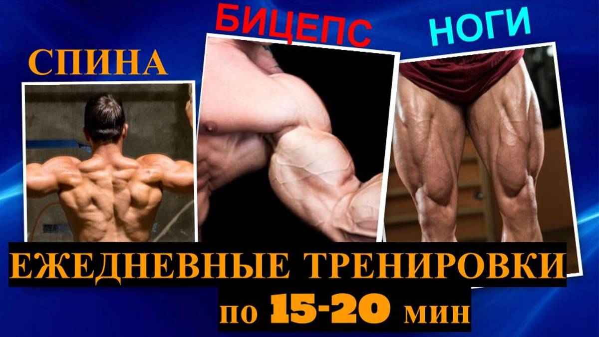 22.10 СПИНА, БИЦЕПС + НОГИ