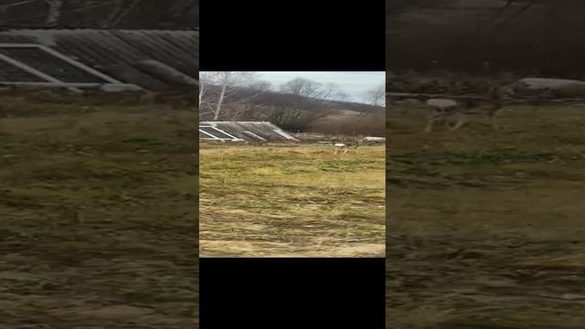 VID-20241030-WA0002.mp4