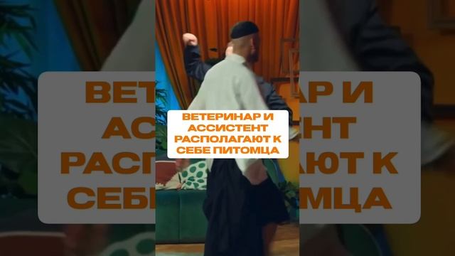 🐾💉 Профессия ветеринара - это не просто работа, это настоящий вызов!