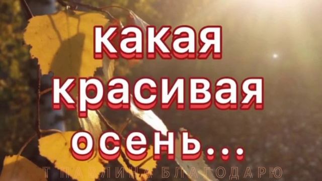 ОСЕНЬ 🍁 КОРМИТ УРОЖАЕМ птиц 🐦 зверей и нас с тобой.