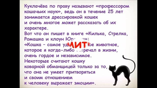 Мягкие лапки, а в лапках царапки