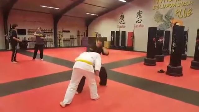 Kaizen Bu Ryu - White Belt - hand grab