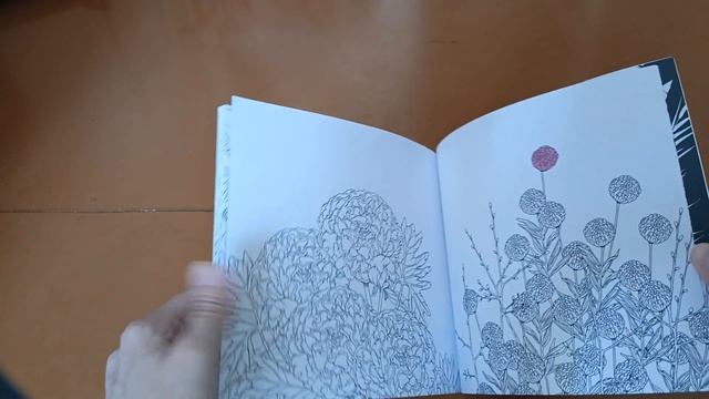 15. "Растения". Коллекция моих раскрасок-антистресс/готовые работы в них