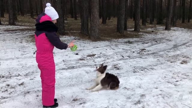 Канистерапия для Насти