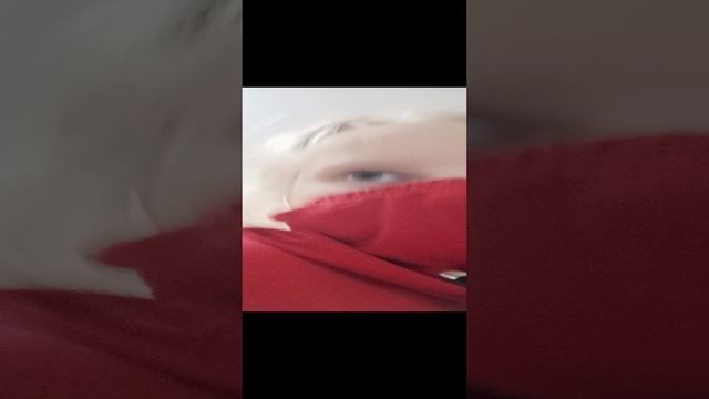 Серая птичка по китайскому