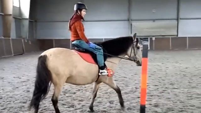 Готовимся к соревнованиям