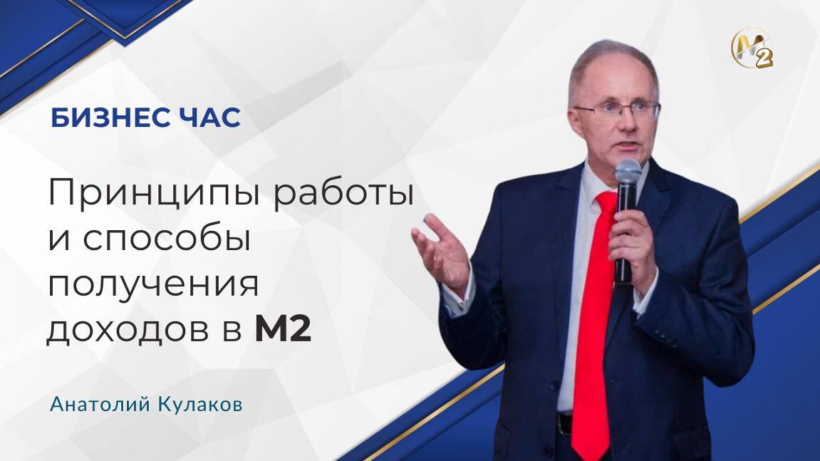 Бизнес час. Принципы работы и способы получения доходов в М2. Анатолий Кулаков 30.10.2024г.