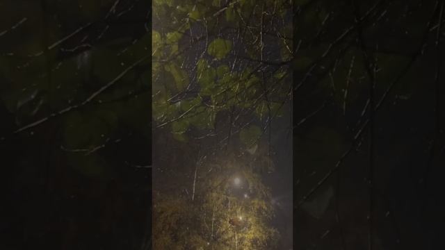 Кто там с шорохом нам под ноги ложится?