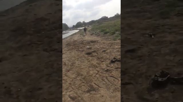 Пробил мировой рекорд