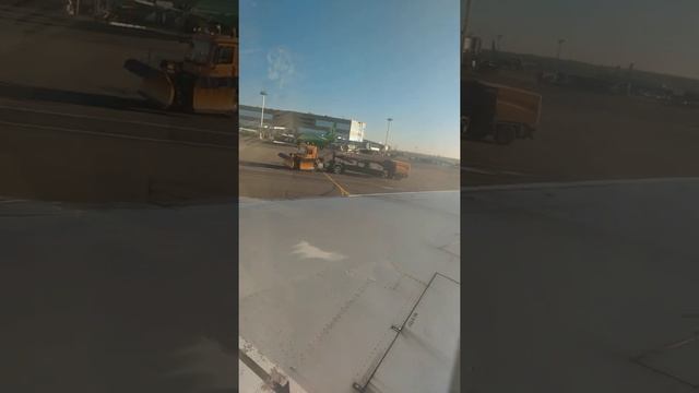 очен маленькое видео с Басиком в самолёте😇😇😇