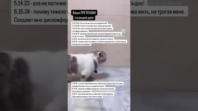 Ваши претензии #shorts #ташазнает