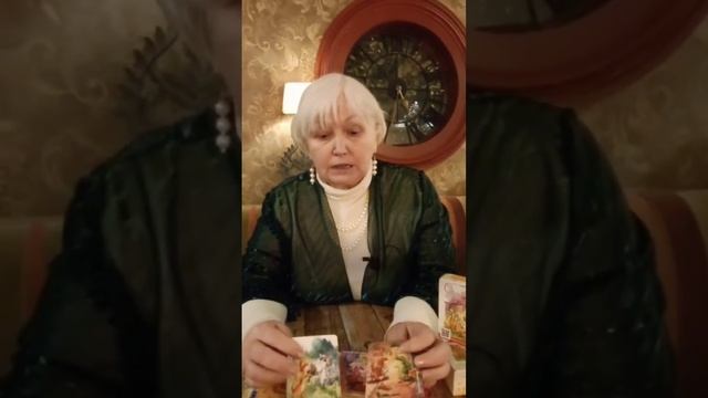 Мои любимые кошки