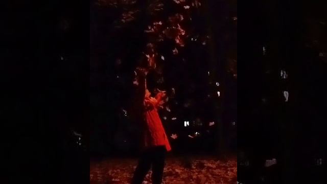осенние видео с листьями около у моего дома