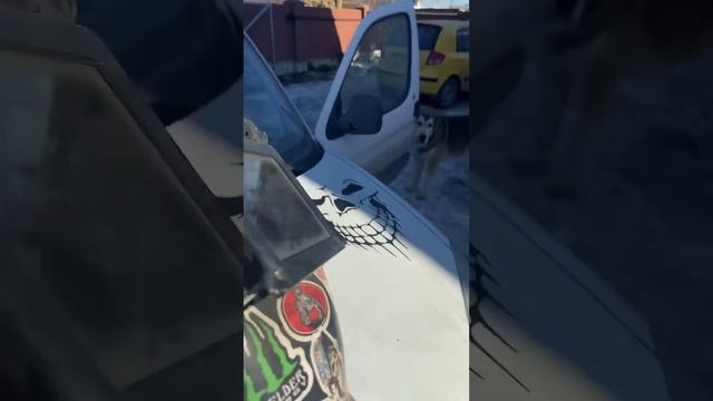 Бомжовский хамелион