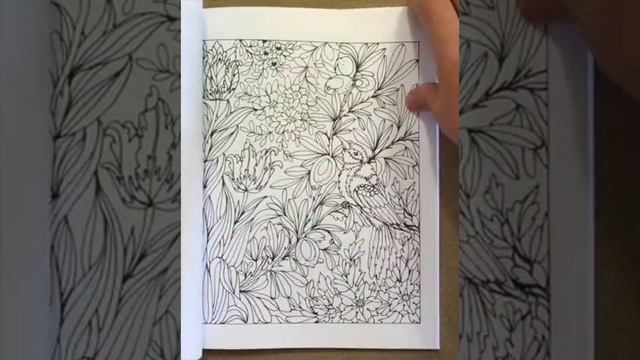 Romantic Italy: 50 Illustrations By A Renowned Italian Artist (Volume 1) Flip Through