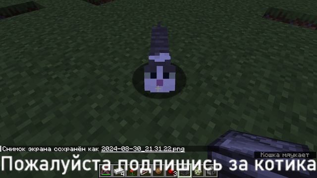 Подпишись пожалуйста