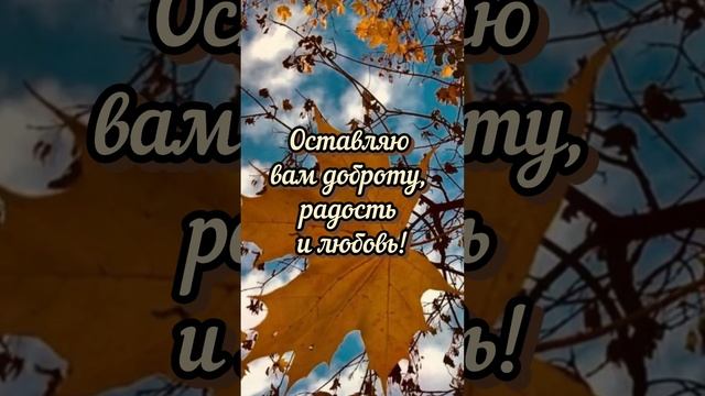 До свидания, октябрь!🍁#осень#октябрь#shorts
