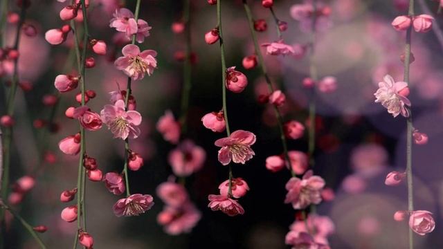 How Your Subconscious Gives Answers Through Dreams | Joseph Murphy