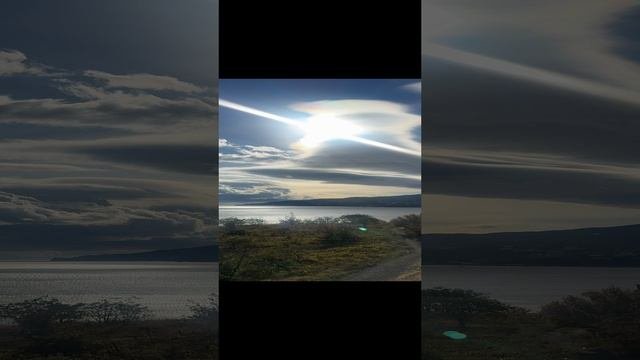 Виноградники и море 🌊