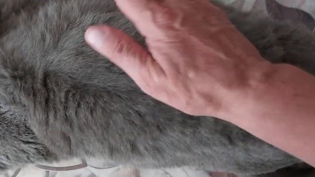 Британка😻зовут меня Марта давайте знакомиться❤️