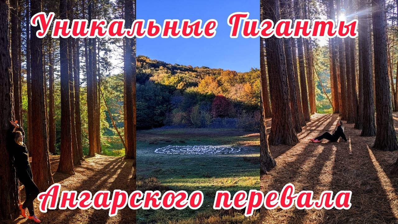 РОЩА СЕКВОЙ В КРЫМУ2024:КРАСОТА ОСЕННЕГО ЛЕСА/ЧТО ЖДЁТ ВАС на АНГАРСКОМ ПЕРЕВАЛЕ?