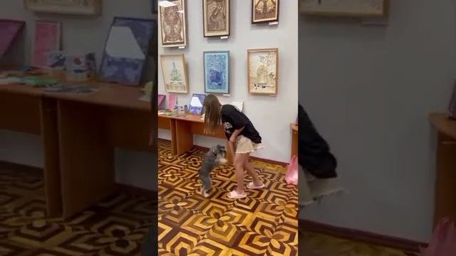 канистерапия, чтение с собаками
