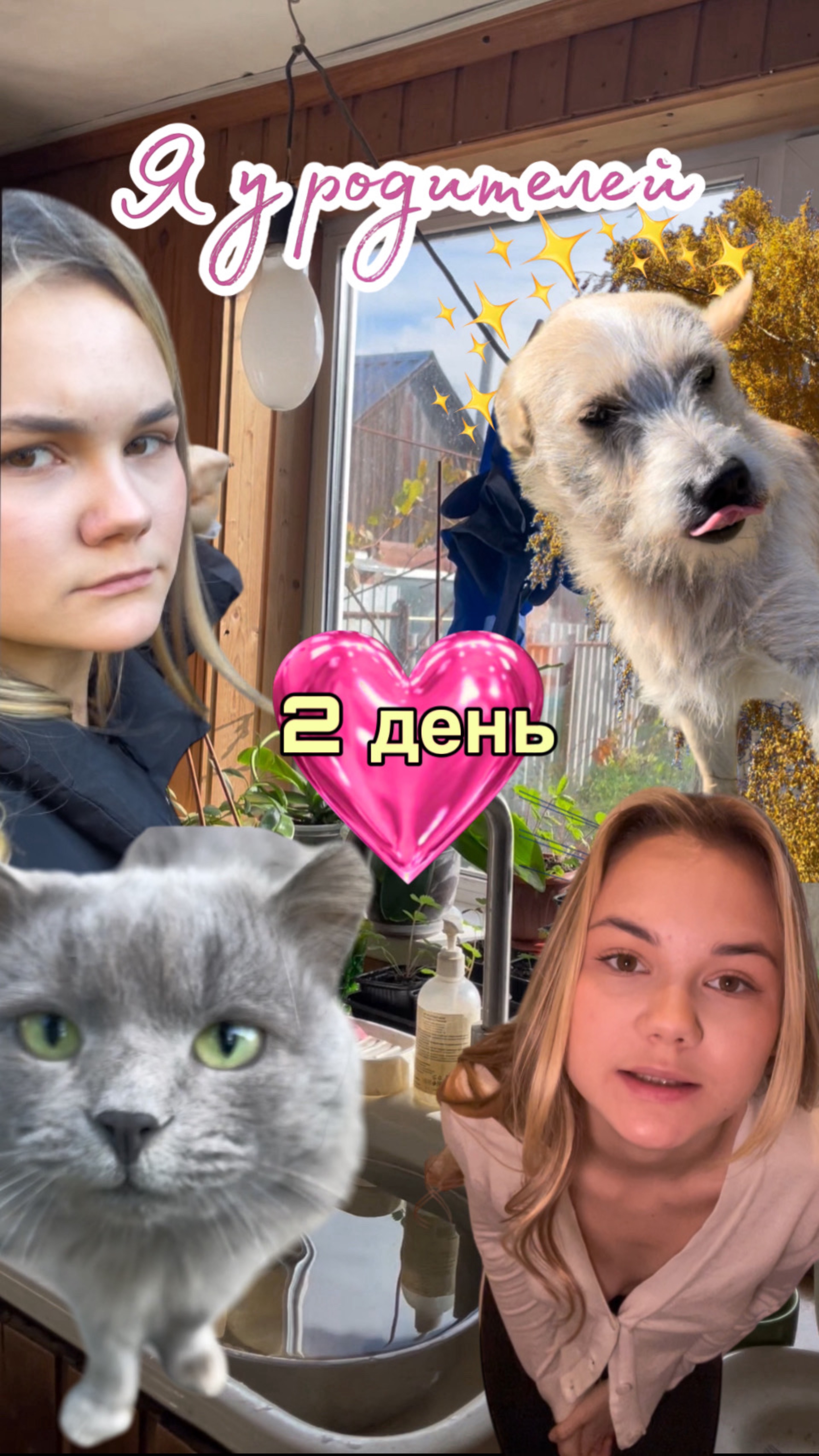 Гощу у родителей 🐈⬛