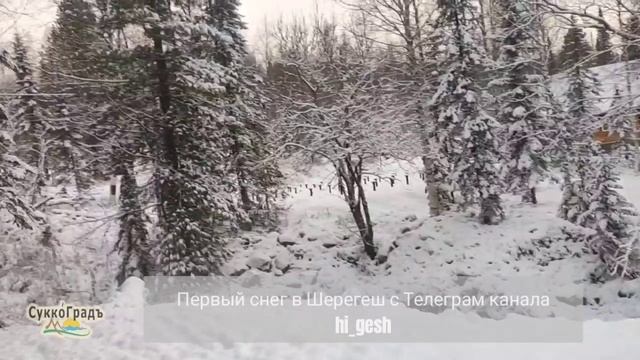 Первый снег в Шерегеш с Телеграм канала hi_gesh