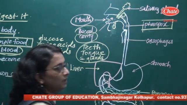 11Foundation lect 13 Human nutrition