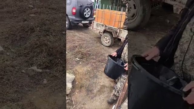 Зарыбление "Крутой Спуск" 30.10.24.💪💪💪
