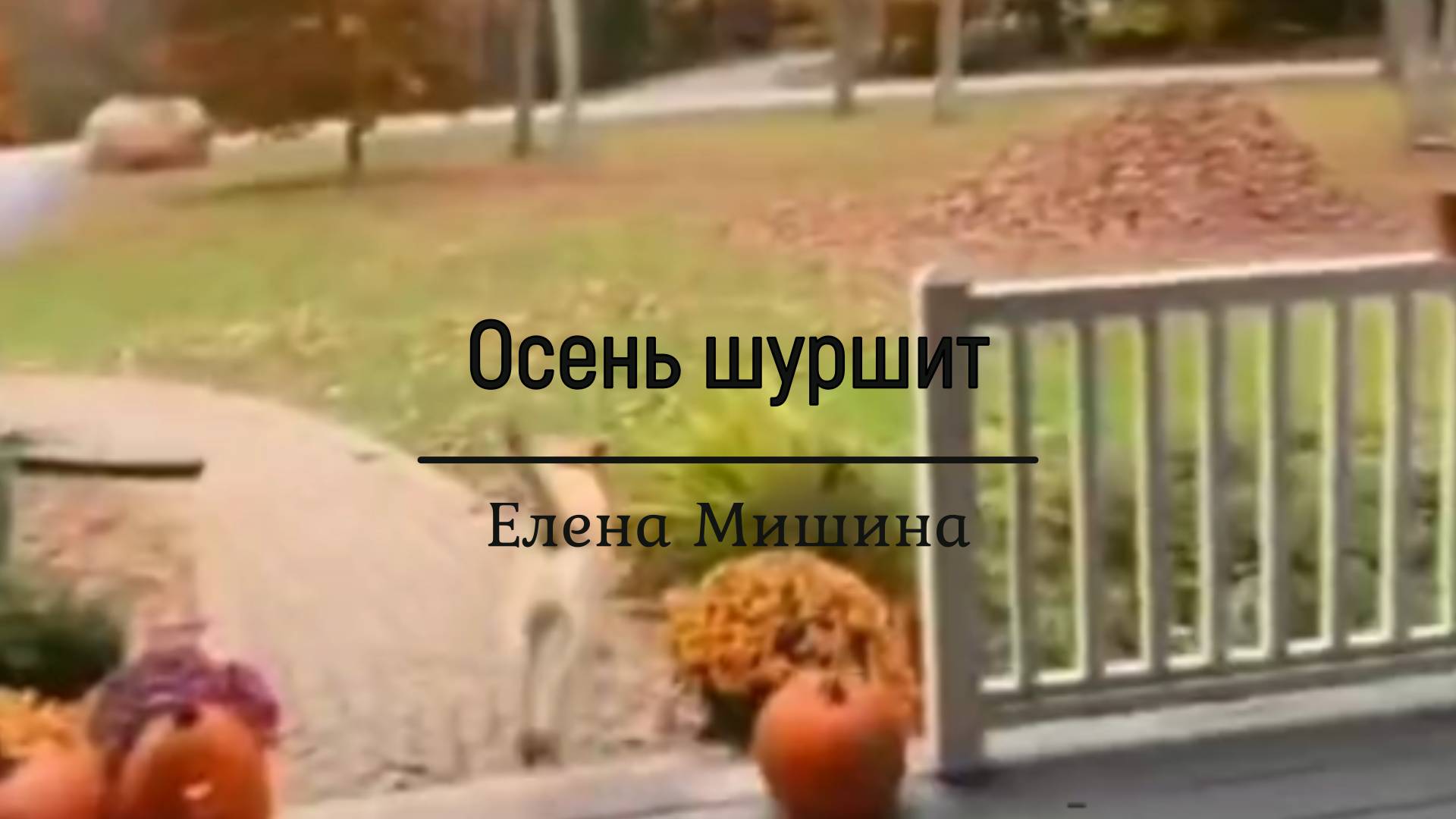 Осень шуршит