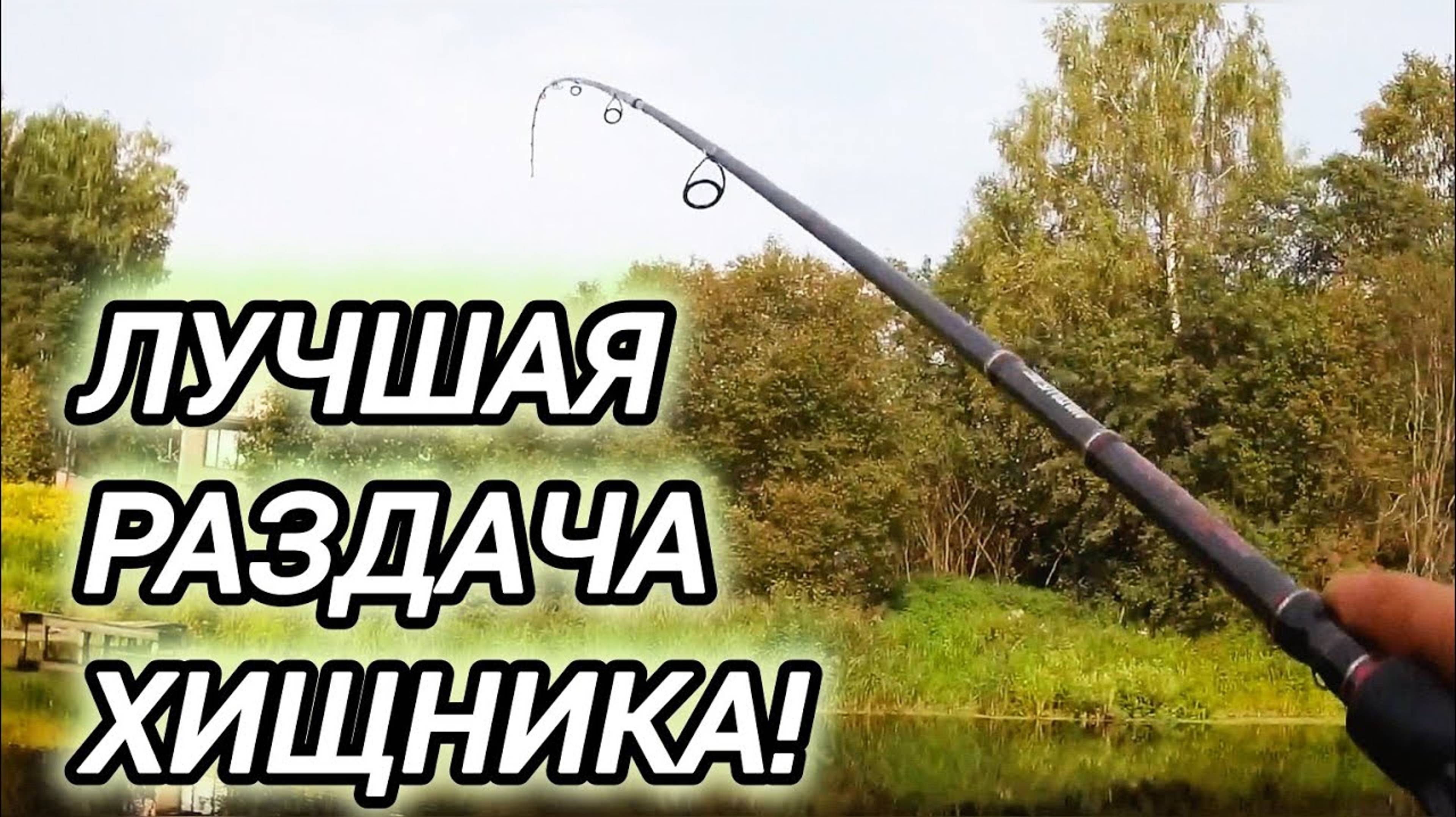 ЛОВИЛ ЖИВЦА А ПОЙМАЛ ХИЩНИКА! ДАЧНАЯ РЫБАЛКА РАЗДАЁТ!